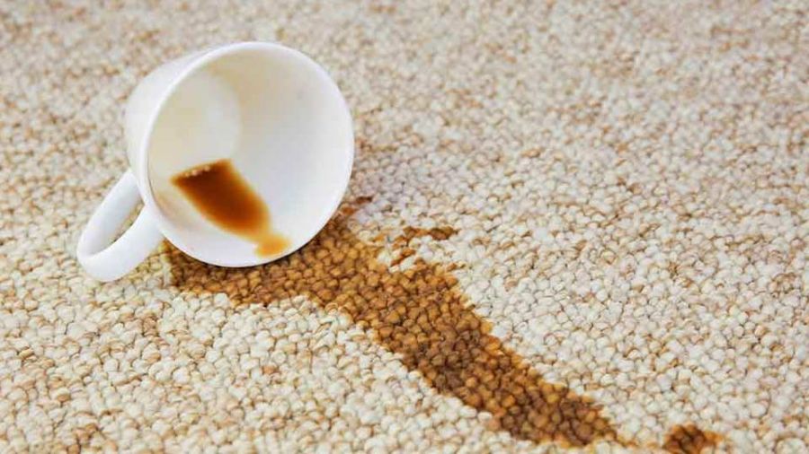 Is Scotchgard Worth It? An Honest Answer After 20 Years of Cleaning Sydney Carpets