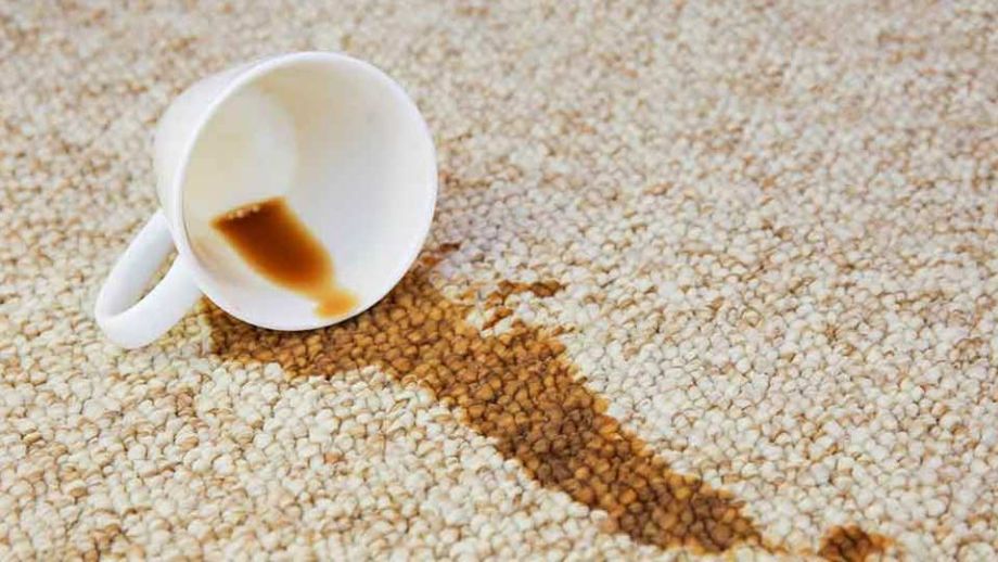 Is Scotchgard Worth It? An Honest Answer After 20 Years of Cleaning Sydney Carpets