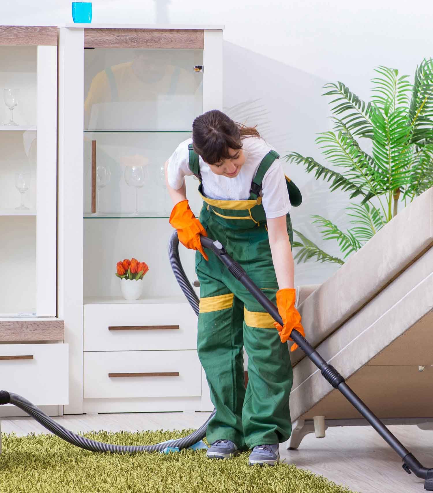 Allergen-cleaning-image