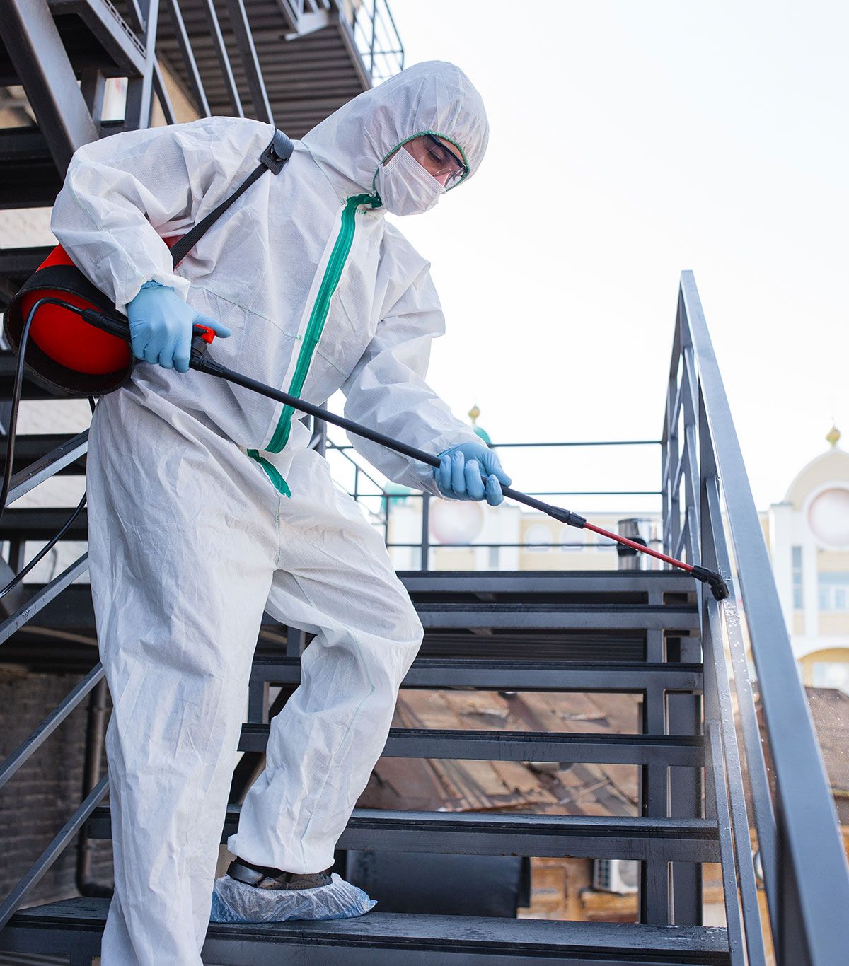 Professional Pest Control Service