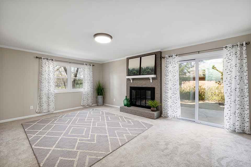 Is There a Homemade Carpet Cleaner?