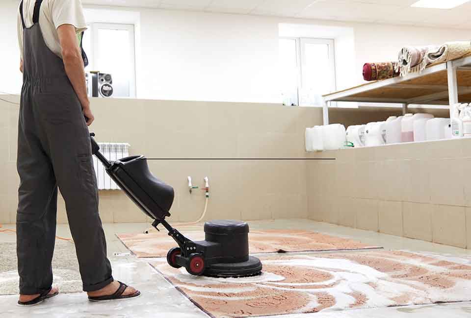 What Causes Pink Mould & How to Remove It