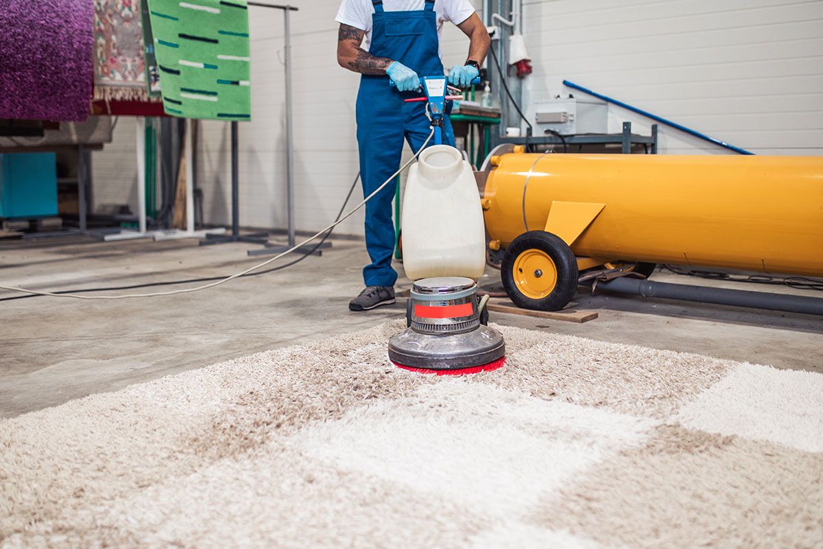 affordable carpet cleaning sydney