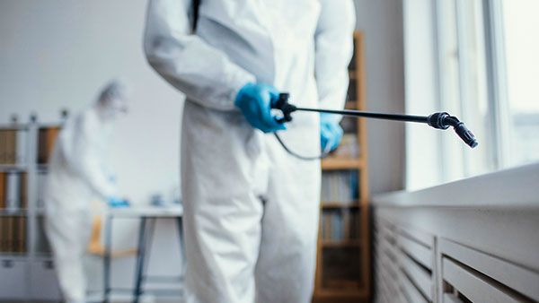Residential Pest Control Services