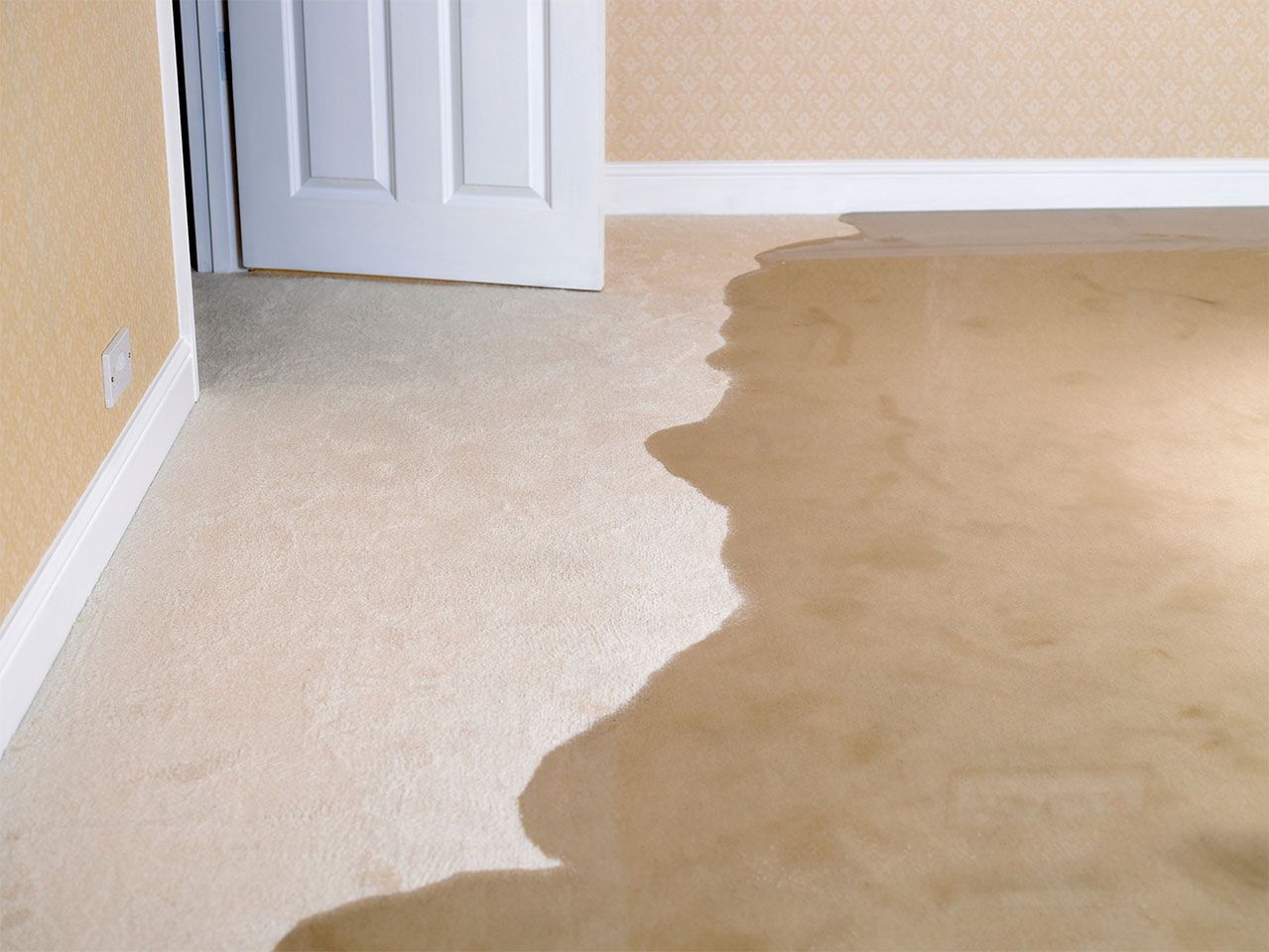 emergency-carpet-cleaning-image