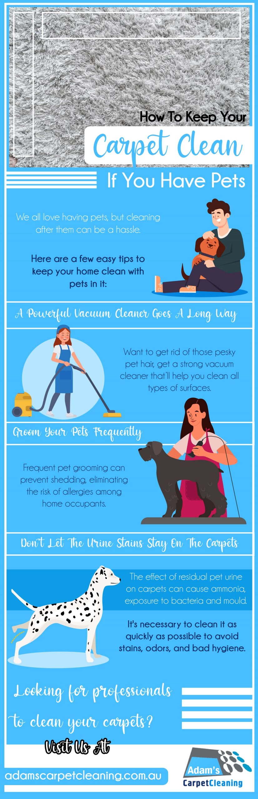 How To Keep Your Carpet Clean If You Have Pets