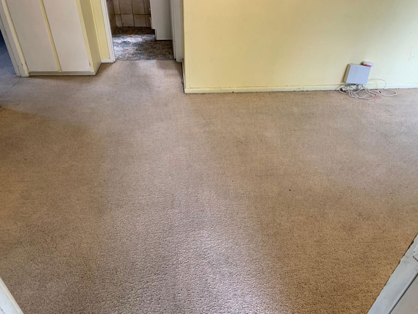 Carpet Cleaning Sydney