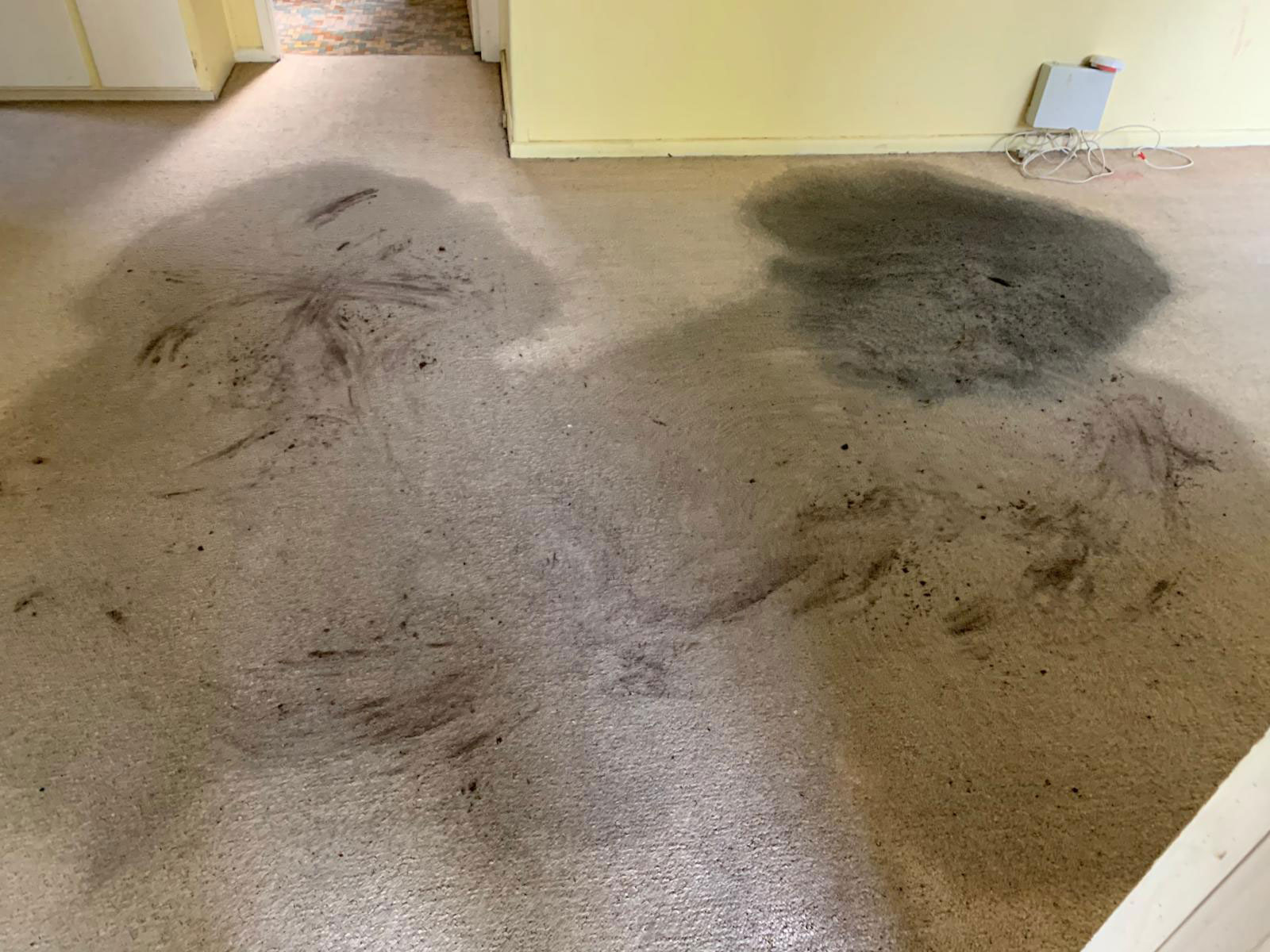 End of lease carpet cleaning