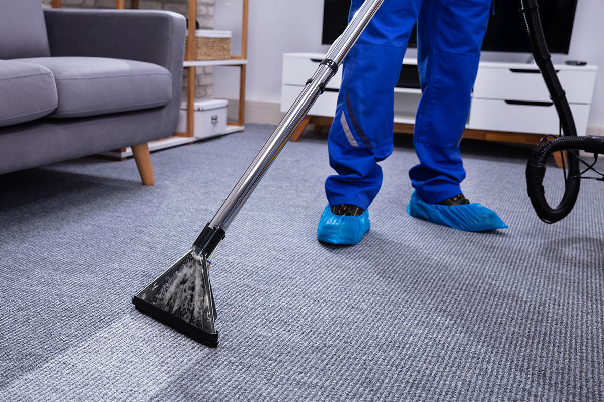steam carpet cleaning