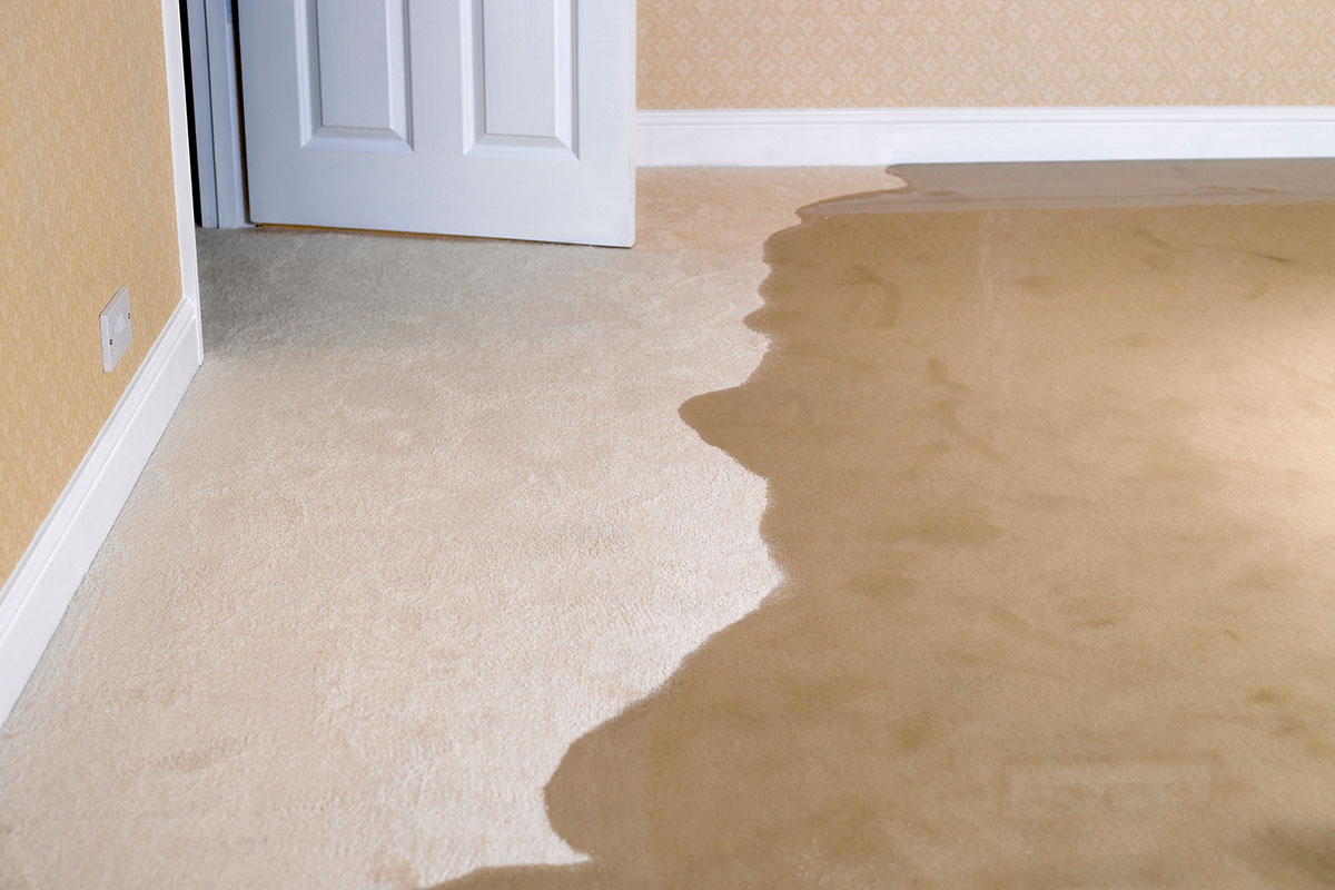 flooded-carpet-image