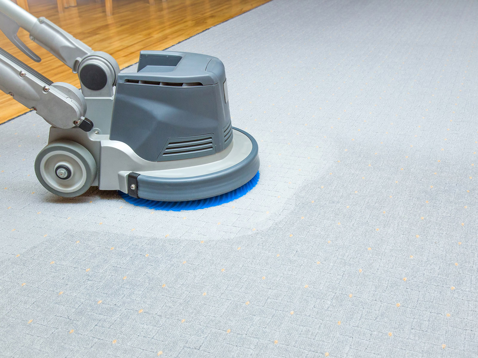 professional-carpet-cleaning-image