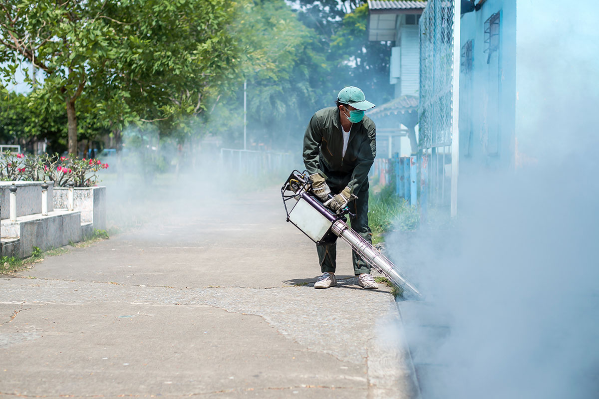 Fogging Pest Control