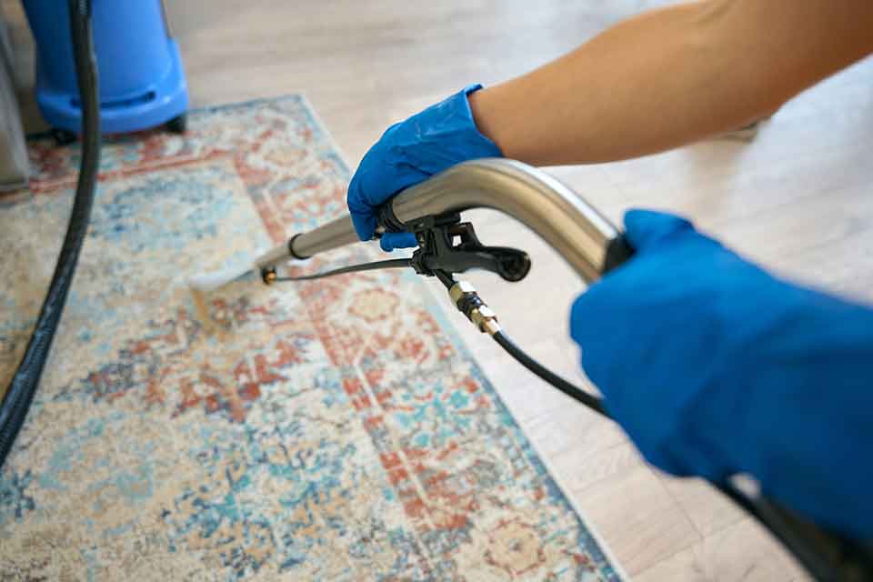 End of Lease Carpet Cleaning: What You Need to Know
