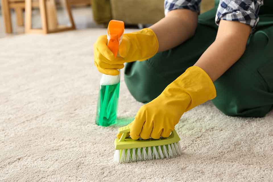 Is It Cheaper to Clean Your Own Carpet?