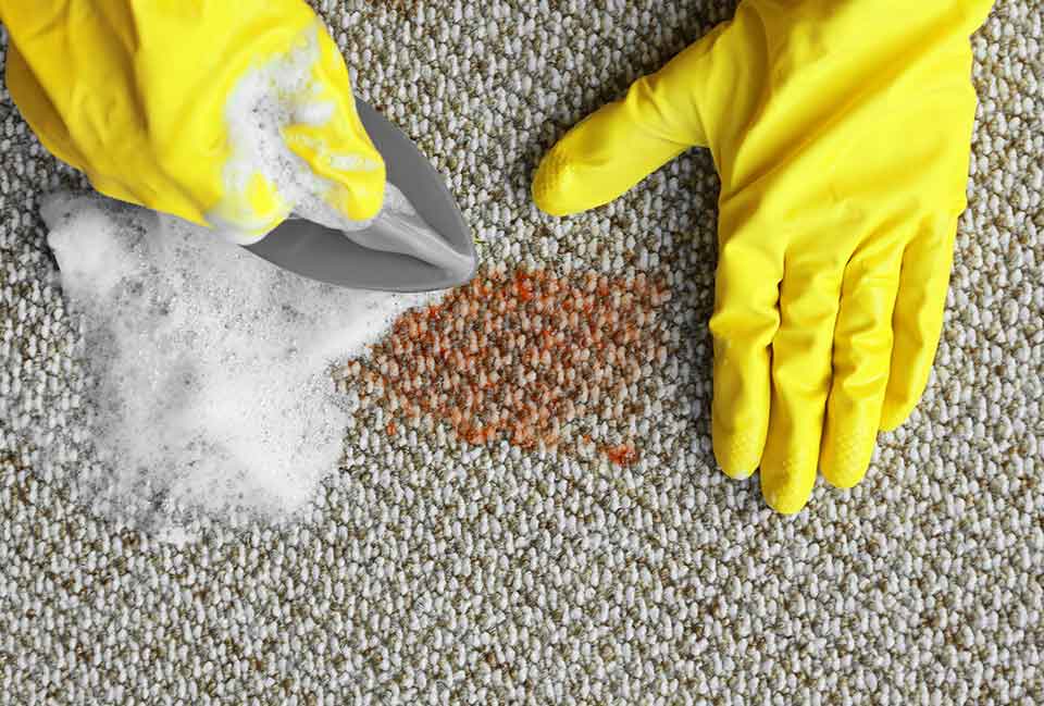 Should You Use Detergent When Cleaning Carpets?