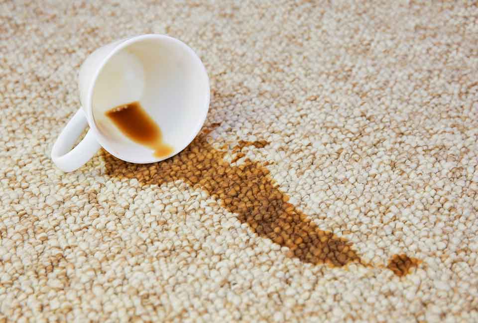 What carpet cleaning services include stain removal and deodorizing?