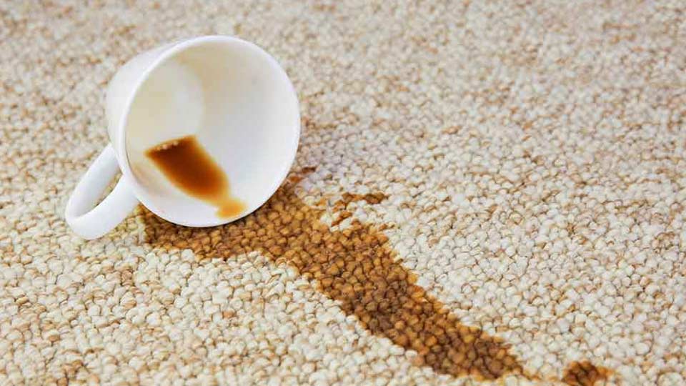 Is Scotchgard Worth It? An Honest Answer After 20 Years of Cleaning Sydney Carpets