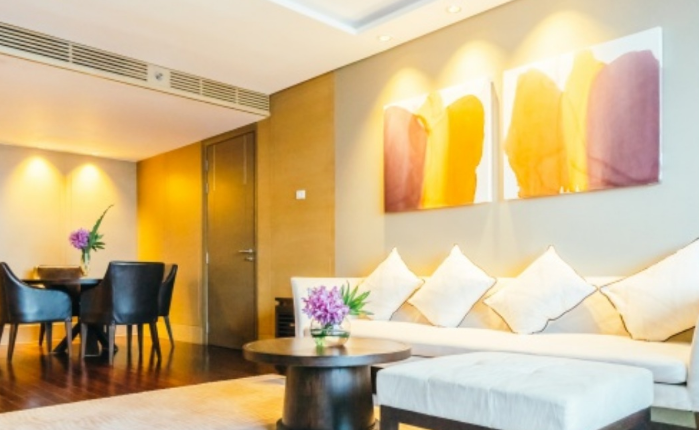 Things That Harm Your Carpets – Infographic