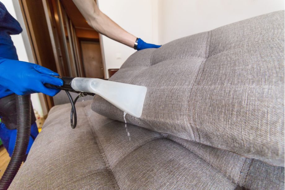 A Deep Dive into High-Traffic Area Carpet Cleaning