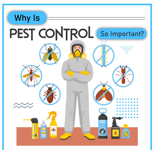 Why Is Pest Control So Important
