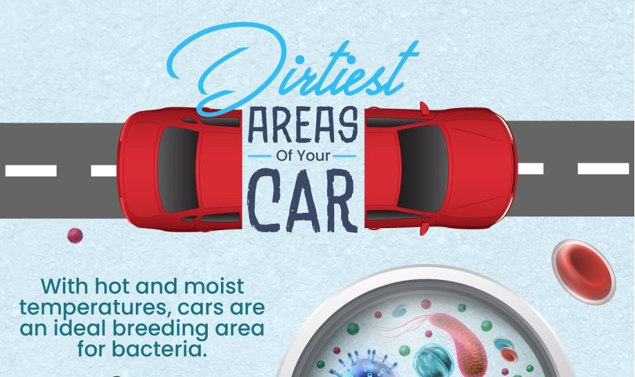Dirtiest Areas Of Your Car | Infographic