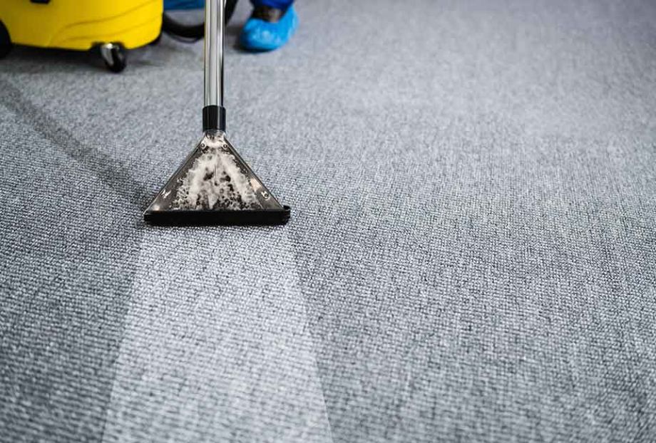 Is A Carpet Cleaner Worth The Money