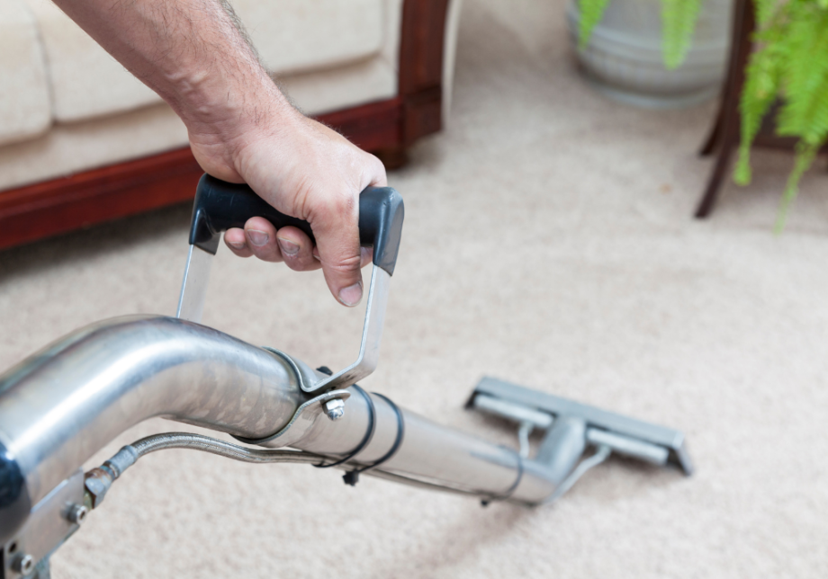 Eco-Friendly Carpet Cleaning