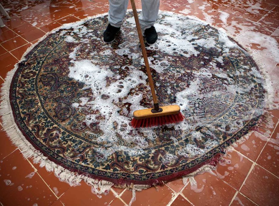 Is Carpet Shampooing Worth It?