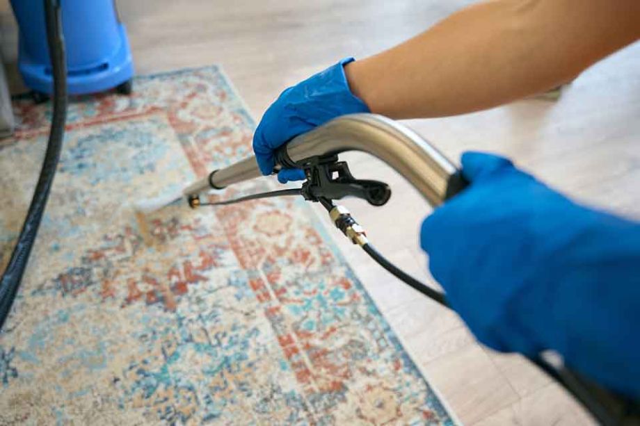 Is It Worth Getting Carpets Cleaned?