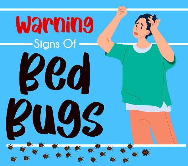 Warning signs of Bed Bugs | Infographics