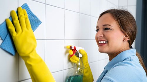 What is the best homemade cleaner for grout?