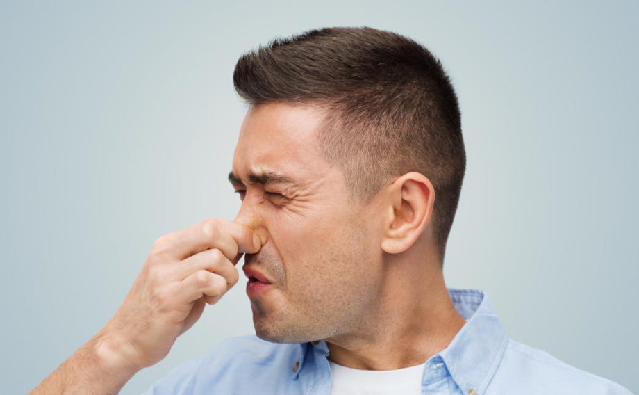 What’s That Smell? Sources of Odour in Your Home and How to Deal with Them