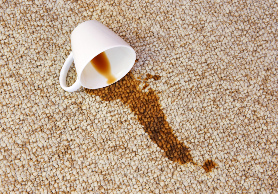 Removing Common Carpet Stains