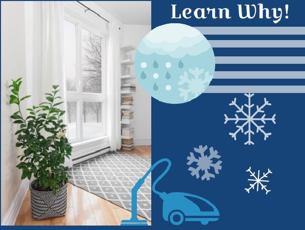 Winter Is The Best Time For Carpet Cleaning – Inforgaphic