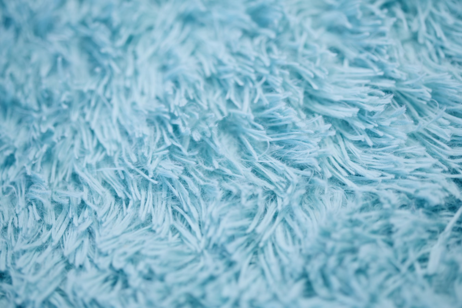 Does your carpet have mould?