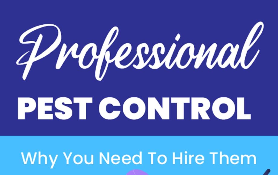 Professional Pest Control Why You Need To Hire Them | Infographic
